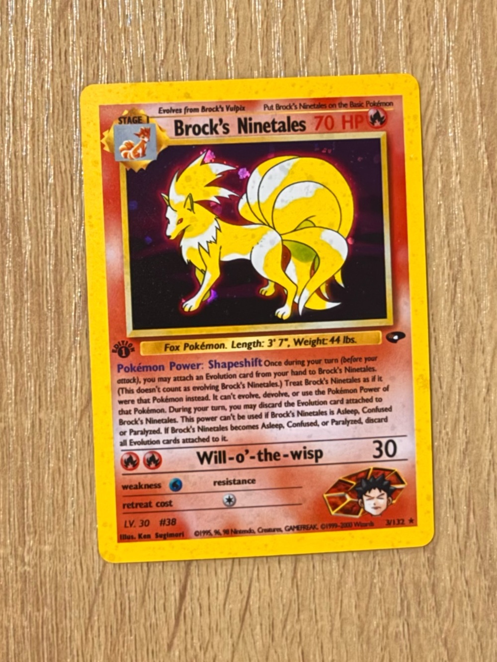 Brock's Ninetales custom